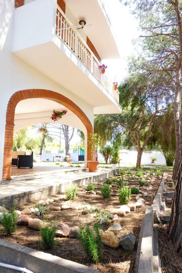 Villa Aurelia - Seafront Apartment With Terrace Куарту-Сант'Элена Экстерьер фото
